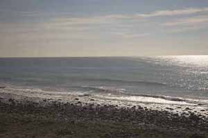 andy anderson coast starlight image